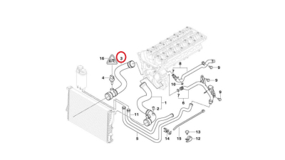 Furtun radiator Bmw Seria 5 E39 1995-2003, cauciuc, BestAutoVest 2016PW-1