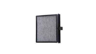 Filtru polen carbon, habitaclu Renault Grand Scenic 2 (Jm0/1), Scenic 2 (Jm0/1) SRLine