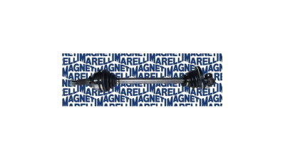 Planetara MAGNETI MARELLI 302004190079